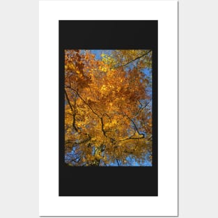 Autumn Posters and Art